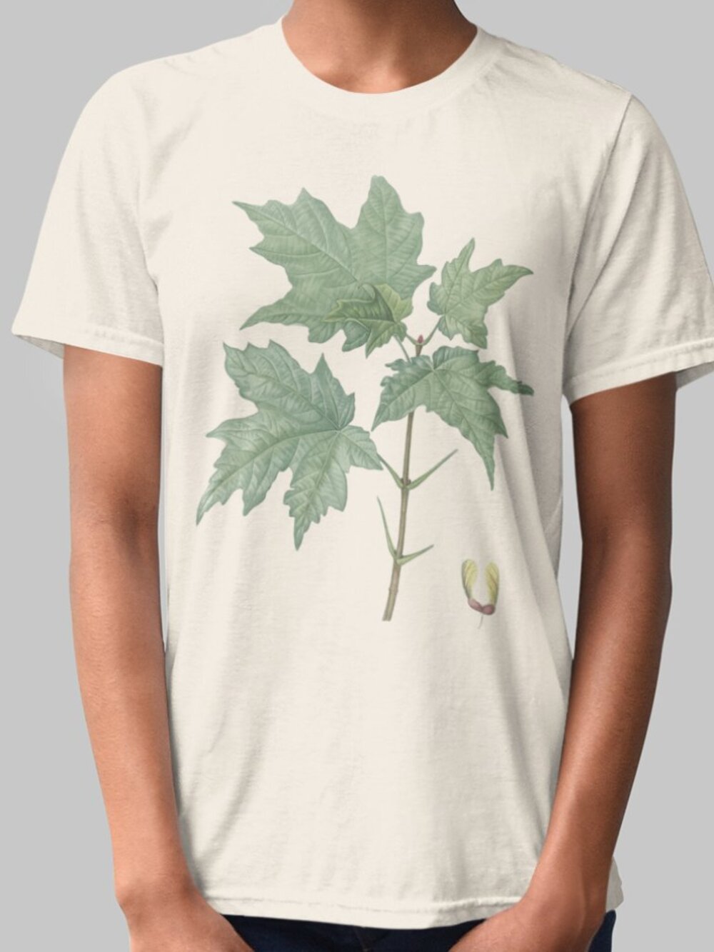 Silver Maple Vintage Botanical Print Short Sleeve Graphic Tee T-shirt S-XXL